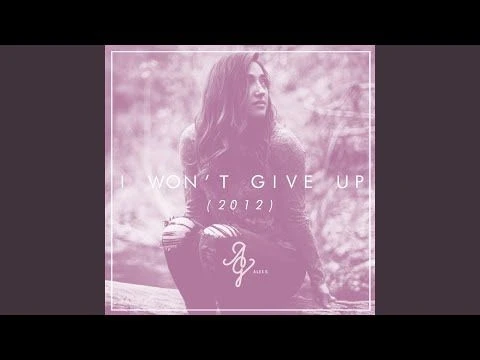 I Wont Give Up